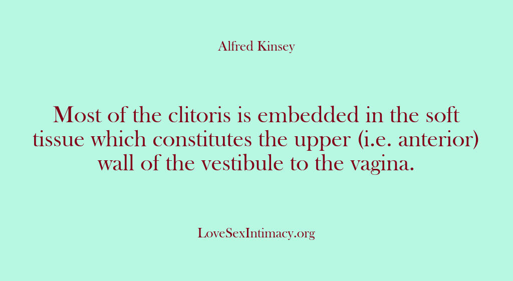 Alfred Kinsey Female Sexuality – Most of the clitoris is embedd…