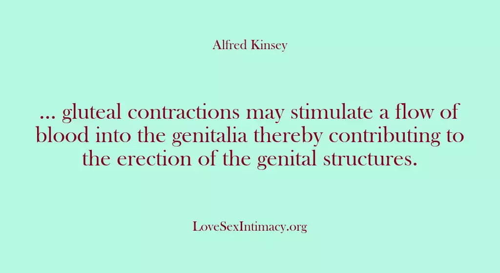 … gluteal contractions may stimulate a flow of blood into the genitalia…