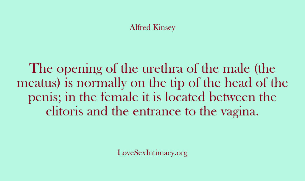 Alfred Kinsey Female Sexuality – The opening of the urethra of …