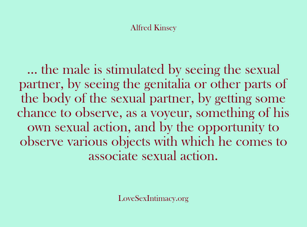 Alfred Kinsey Female Sexuality – … the male is stimulated by …