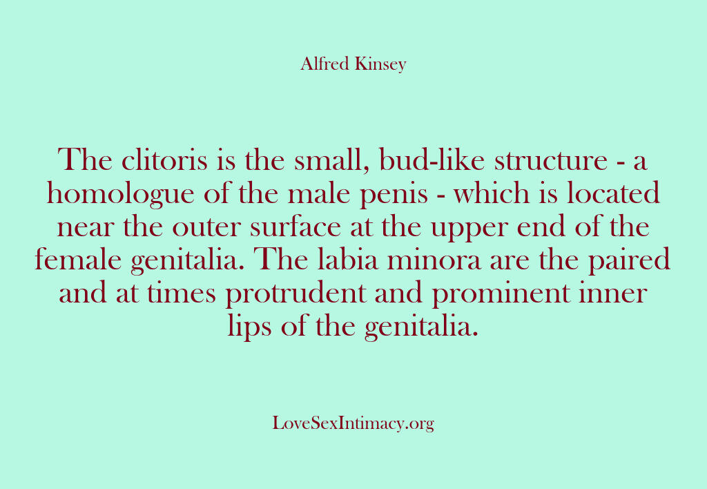 Alfred Kinsey Female Sexuality – The clitoris is the small bud…