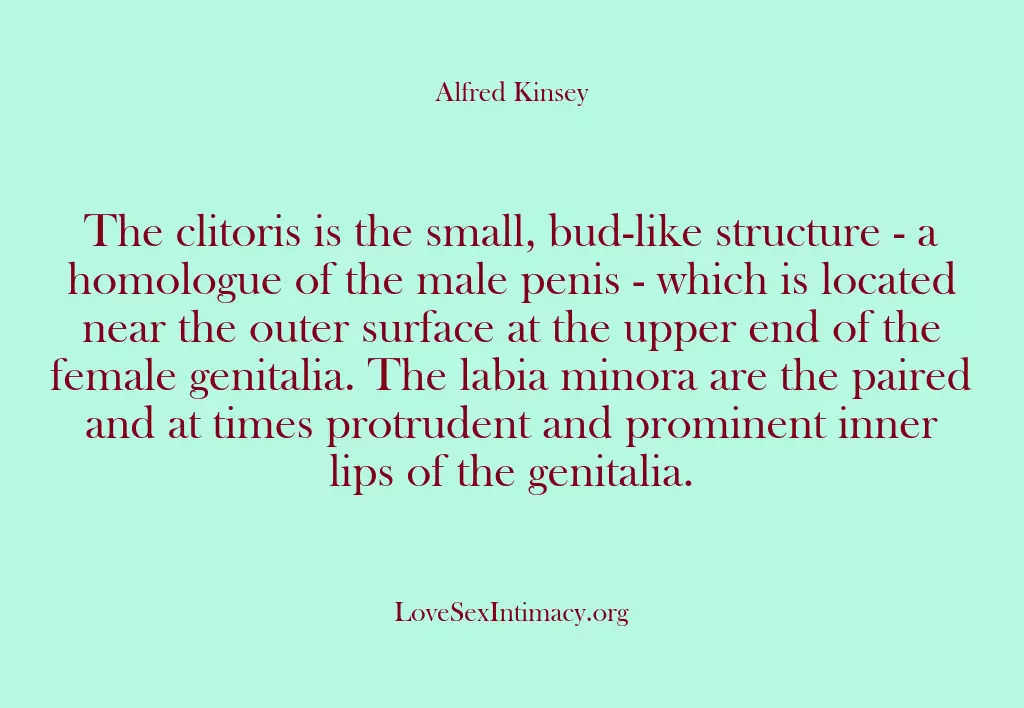 The clitoris is the small, bud-like structure – a homologue of the…
