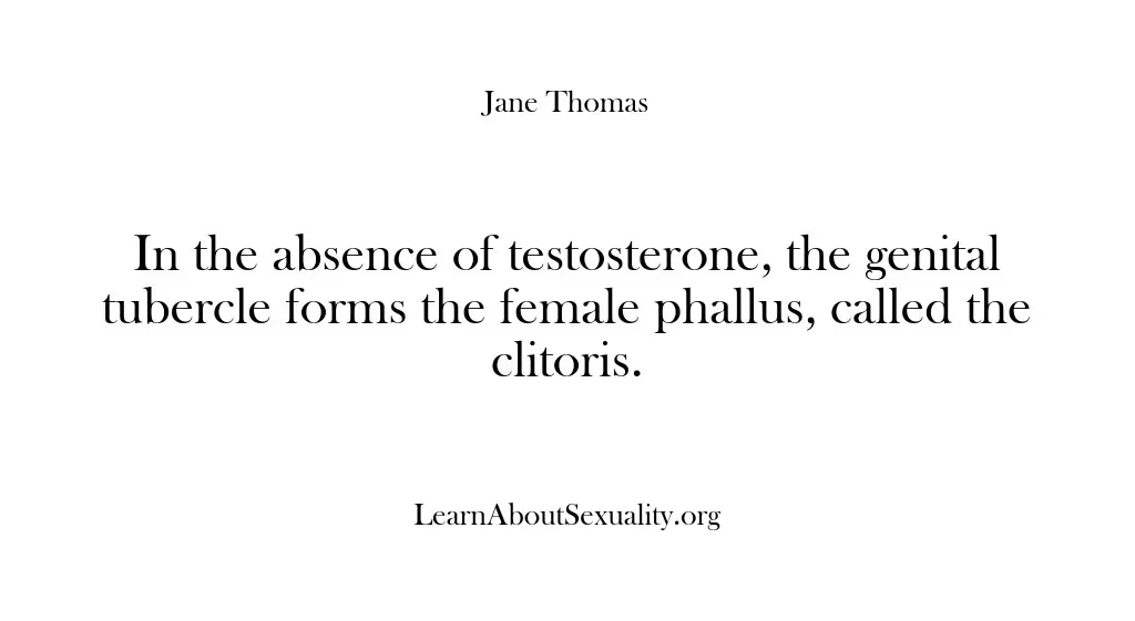In the absence of testosterone, the genital tubercle forms the female phallus,…