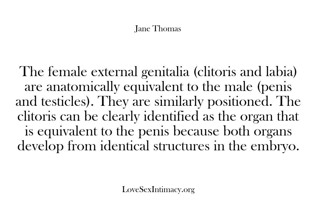 Love, Sex & Intimacy – The female external genitalia …